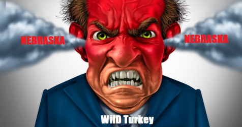 wild turkey (2).PNG