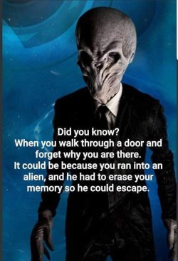 170235780_10158108636857377_4651269308853767054_n.jpg