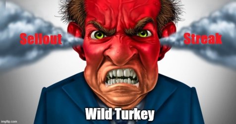 Wild Turkey 1 (3).jpg