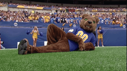 giphy-151.gif