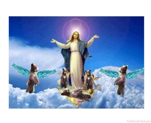 image(109).jpg
