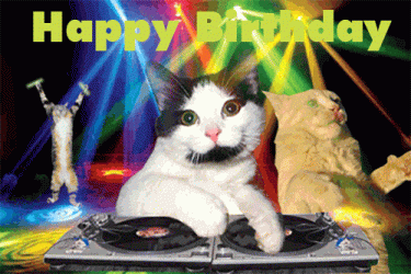 F5EE4FFD-2F5B-4ED6-B874-FBF5991823ED.gif
