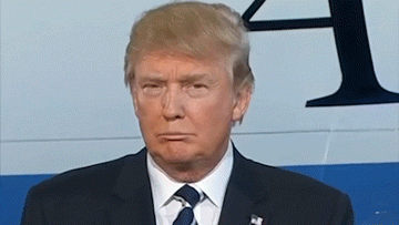 E2B4A2CF-0174-409F-8A29-3FCC753EB265.gif E2B4A2CF-0174-409F-8A29-3FCC753EB265.gif