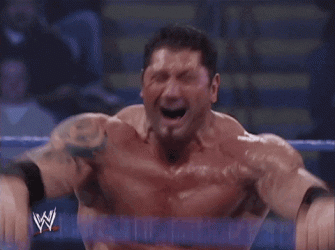 giphy (3).gif