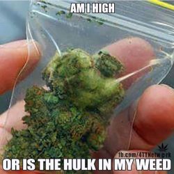 Hulk-in-Weed-0223672781499606436.jpg