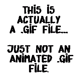 actualgiffilenotanimated.gif