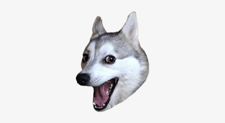 1601415445481.png