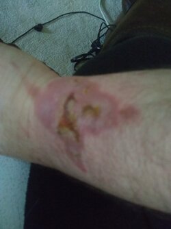 IMG_20200930_132239858.jpg