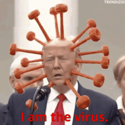 1601759184712.png