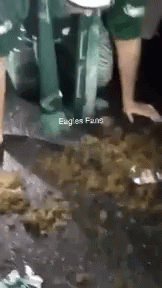 1637632357267.gif
