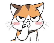 1637807691109.gif