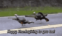 turkey-mad.gif