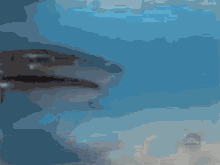 1638678559638.gif