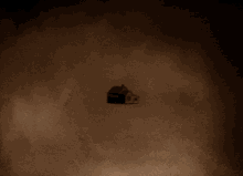 1639236110436.gif