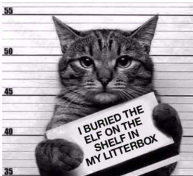 elfonshelfinlitterbox.png