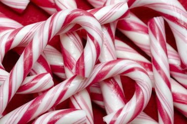 peppermintcandycanes.jpg