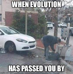 1639853952174.png