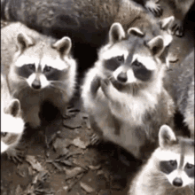 A3C0BE6D-BB88-4710-ACDB-E867678D9575.gif