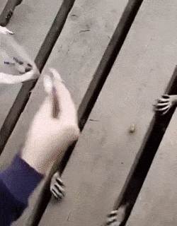 D72D961B-7B37-4BA2-B1BB-D23EEF52A353.gif