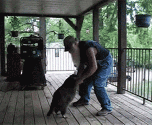 5742B233-0807-4D27-8728-EAD692F6B4FE.gif