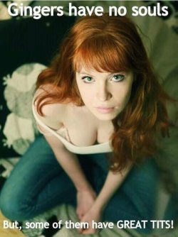 gingershavegreattits.jpg