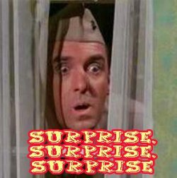 surprisesurpise.jpg