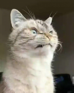 1641842317720.png