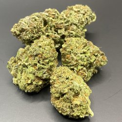 godfather-hemp-flower-backwoodz-cbd-961155_2000x.jpg
