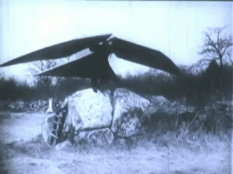 4E7B186C-4336-43FE-8F6A-0607CECFA4E6.gif
