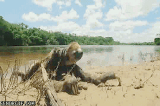 F6C4AC85-69F7-4764-B521-A845C925641C.gif