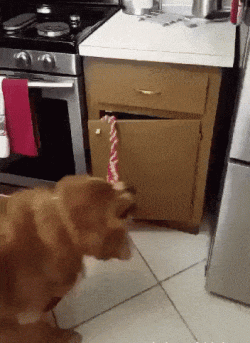 1643215550807.gif