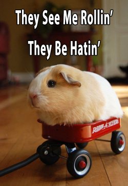 theyhating.jpg