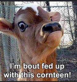 FB_IMG_1602104701729.jpg