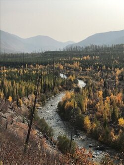 big creek.jpg