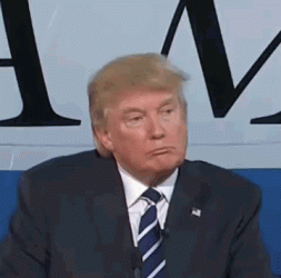 11C1AE81-A9A5-4C2A-B090-388D090A2B39.gif