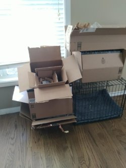 I like boxes!.jpg