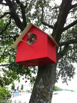 birdhouse-win.jpg
