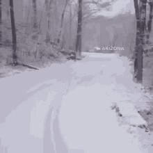 runninginsnow-ani.gif