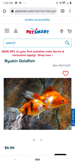 Ryukin goldfish.png
