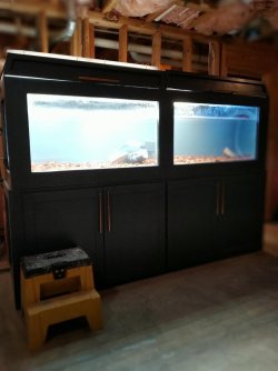 18 watt + 60 watt + 400 watt.jpg