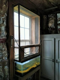 20 gallon long window build.jpg