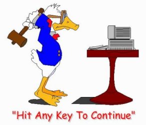 duck2.jpg