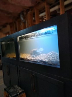 gravel in tank.jpg