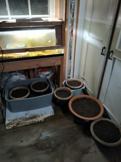 six pots.jpg