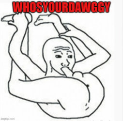1646623507161.png