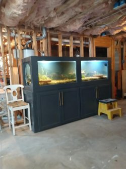 Mar. 11, 2022, water temp 68.jpg