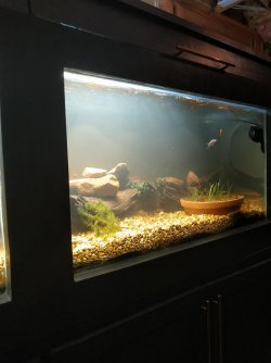 Right side 3-11-22.jpg