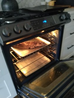 Bake until ants are crisp and enjoy!.jpg