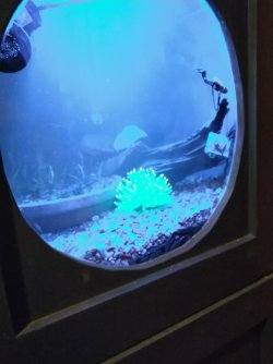 Sea enemy.jpg