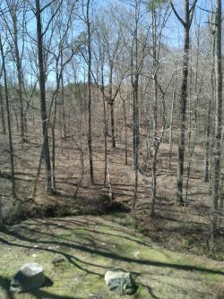 Mar 20, 2022, 3pm 66 degrees.jpg